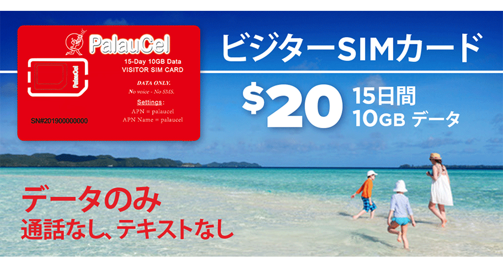 Visitor Sim Card Japanese 2021121010