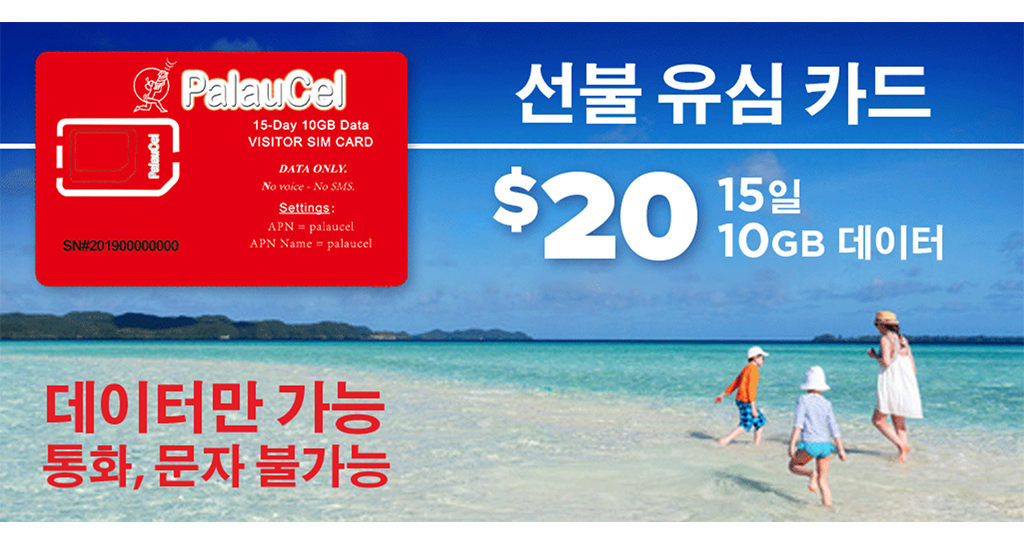 Visitor Sim Card Korean 2021121010